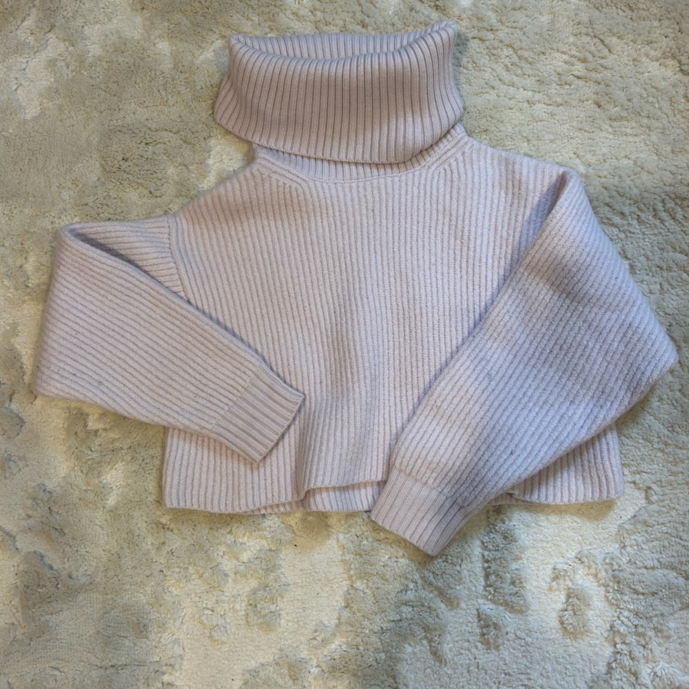 Babaton Cozy Cream Turtleneck Sweater